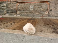 -塔尔寺