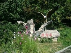 -哈尔滨北方森林动物园