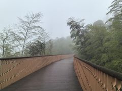 -蜀南竹海景区