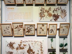 -重庆自然博物馆(新馆)