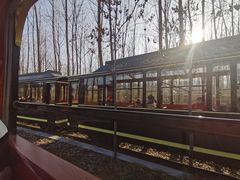 -合肥滨湖国家森林公园