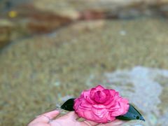 -森波拉奇妙世界