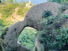 -六里坪国家森林公园