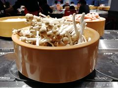 -龍歌自助小火锅(崂山丽达店)