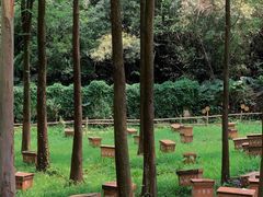 -广州市白云山风景名胜区