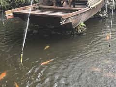 -花溪雨·森林餐厅(石基店)