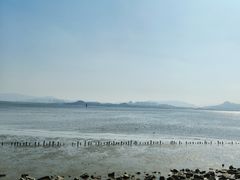 -深圳湾公园(南山区)