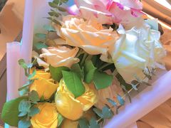 -大自然花鸟鱼虫市场
