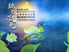 -上海博物馆(人民广场馆)