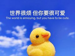 -芦月轩羊蝎子(太平桥店)