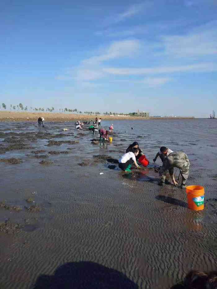 唐山港曹妃甸港区-"天然免费赶海胜地,绝对的小众打卡,让家人.