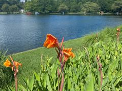 -上海共青森林公园