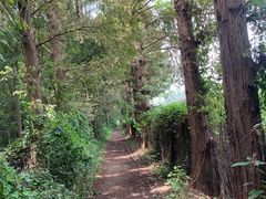 -同里国家湿地公园