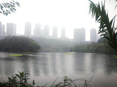 -重庆彩云湖湿地公园