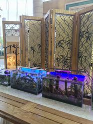 -华美达光谷大酒店·宴会厅