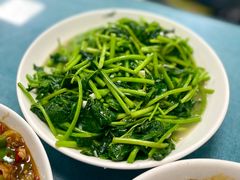 红薯叶-江南古镇味道·私房菜