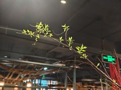 -紫藤燕语(兴澄银座店)