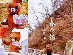 -少华山国家森林公园