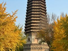 -玲珑塔公园
