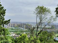 -大蜀山国家森林公园
