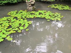 -杭州黄龙洞