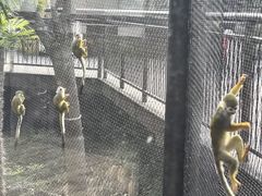 -武汉动物园