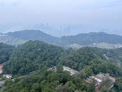 -大金鹰园