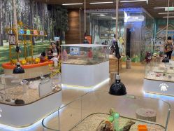 -小象动悟公园(龙湖亦庄天街店)