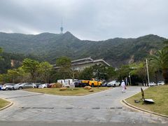 -梧桐山风景名胜区