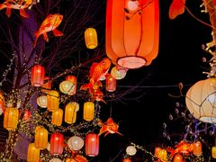 -龙湖星悦荟(颐和店)