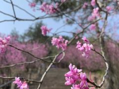 -天台山赤城山景区