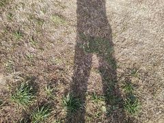 -桤木河湿地公园