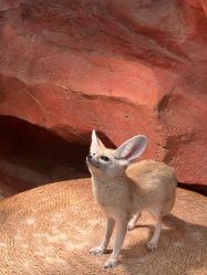 -Zoolung Zoolung动物主题公园(海信广场店)