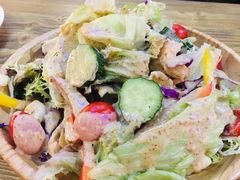 田园沙拉-聚福(国创旗舰店)