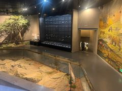 -北京周口店北京人遗址博物馆