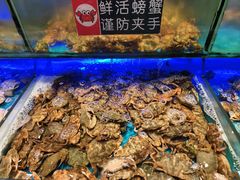 -SEA西雅图海鲜自助餐厅(海乐世界店)