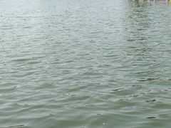 -敬亭山风景名胜区