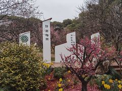 -无锡梅园公园