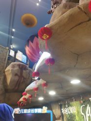 -卡通尼·Safari非洲探索乐园·生日会(金桥国际商业广场店)