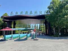 -黄海国家森林公园