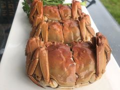 -七的湖·晚芳亭·阳澄湖农家菜·大闸蟹(莲花岛店)