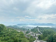 -黄贤森林公园