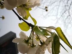 -和府捞面(东直门银座店)