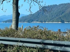 -宝荣鱼馆·临湖之宴(千岛湖店)