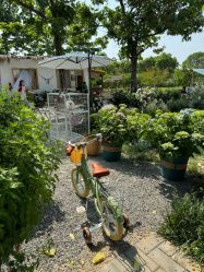 -DORA kids 朵拉儿童摄影花园店