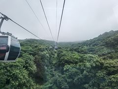 -普陀山风景区-佛顶山