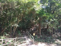 -大埔公路-马料水段香港中文大学(公交站)