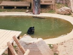 -石家庄市动物园