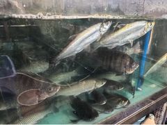 -汇景花园酒家(基立下道店)