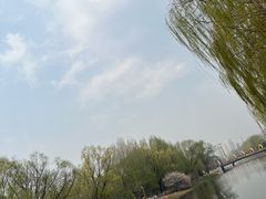 -万泉公园